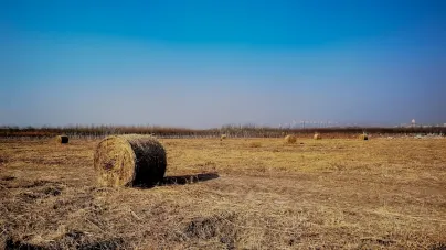 Casholot Kaszinó Mobilalkalmazás